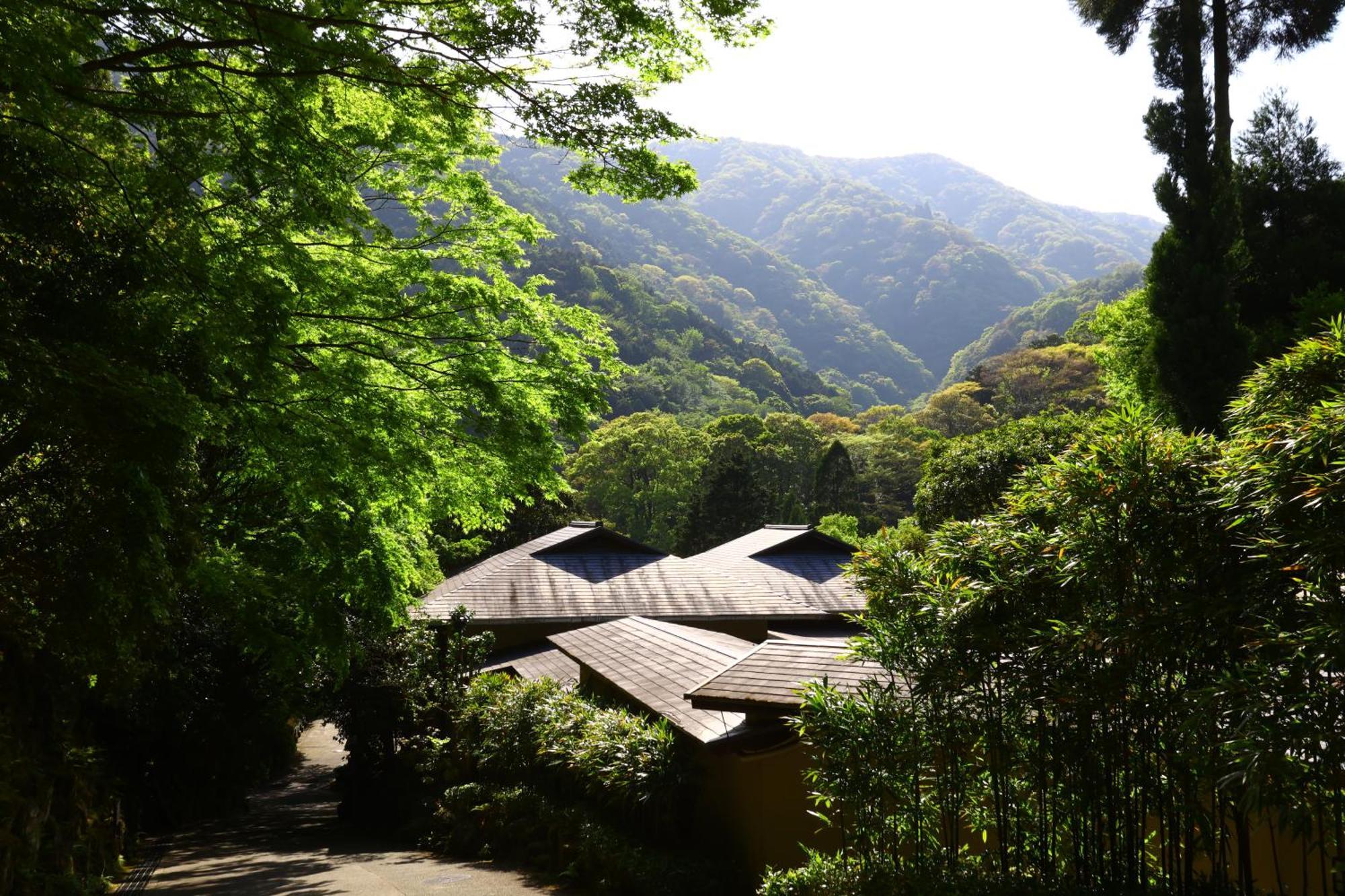 Oku Yugawara Tsubaki Hotel Exterior photo
